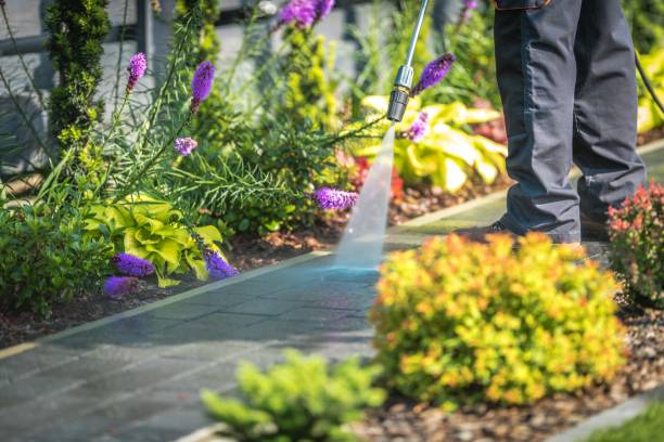Best Dumpster Area Cleaning  in Union, OR